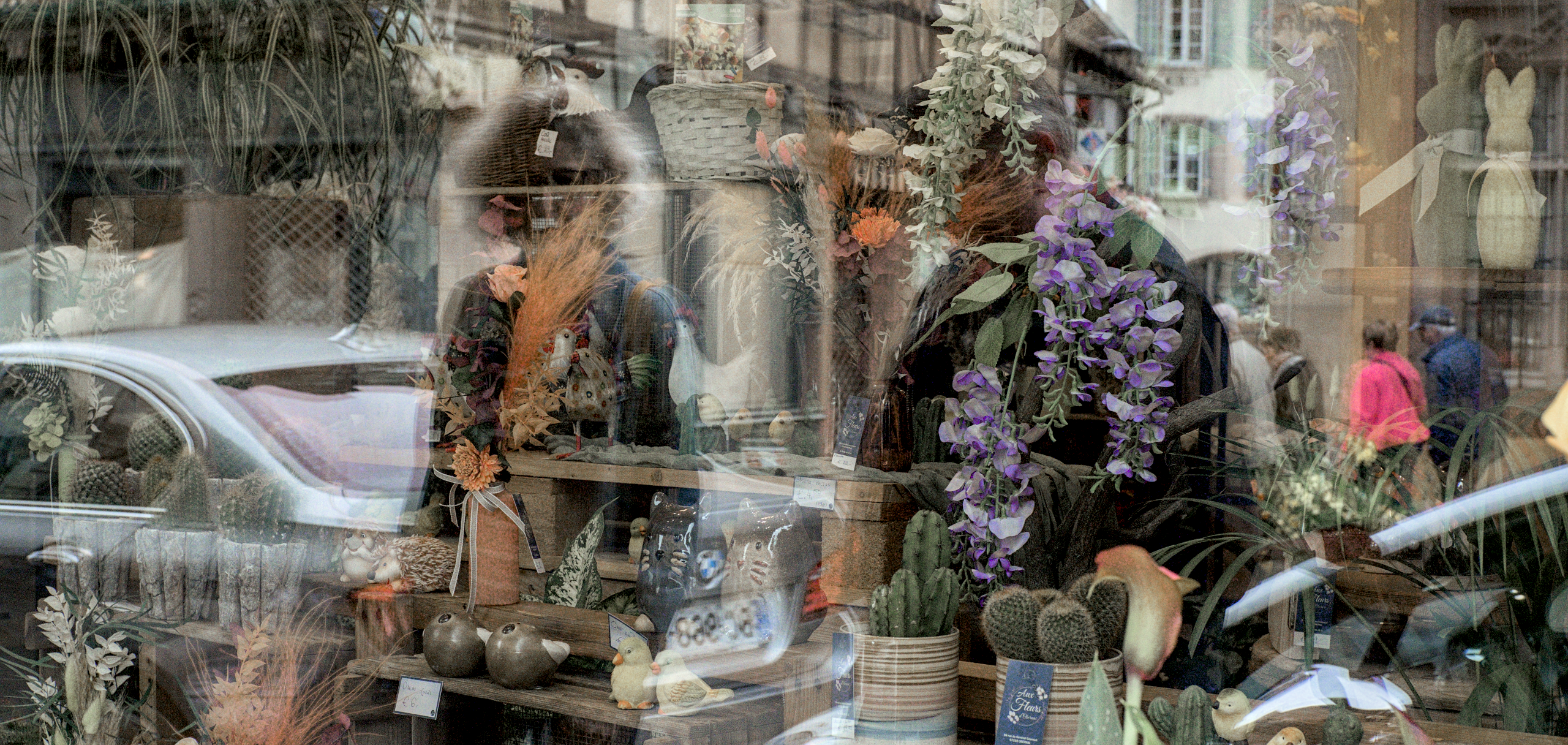 Vitrine fleuriste en avant